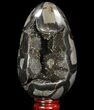 Septarian Dragon Egg Geode - Black Crystals #96731-1